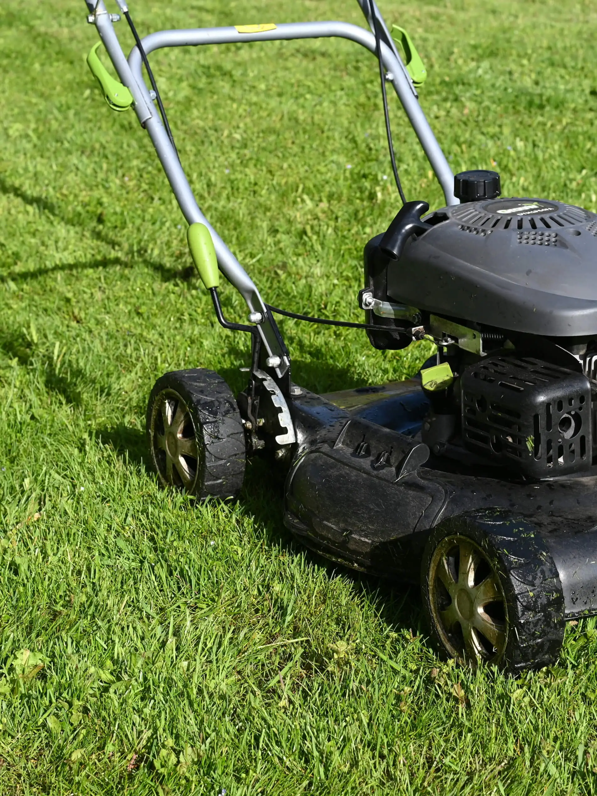 Gartenpflege in Nürnberg – Rasenmäher beim Mähen eines gepflegten Rasens